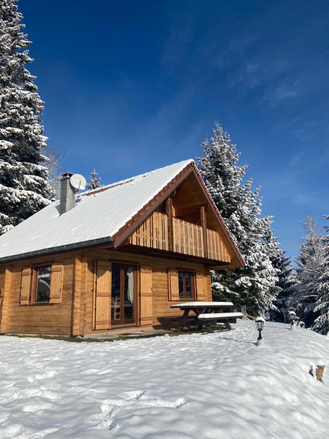 Chalet De La Grimpette Au Coeur De Gérardmer Εξωτερικό φωτογραφία