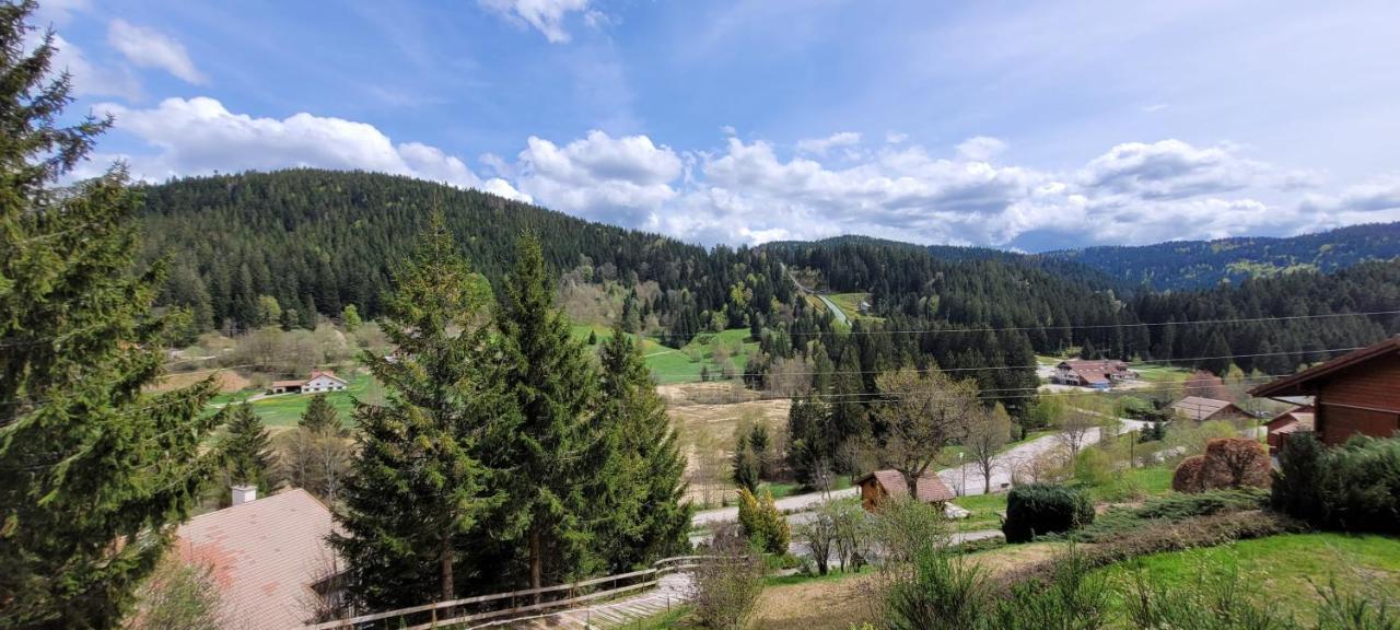 Chalet De La Grimpette Au Coeur De Gérardmer Εξωτερικό φωτογραφία