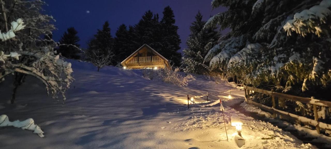 Chalet De La Grimpette Au Coeur De Gérardmer Εξωτερικό φωτογραφία